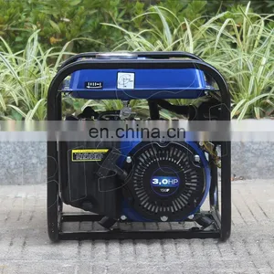 BISON(CHINA) Generador Electrico 1000W Generator Silent 1Kw Price thumbnail-4