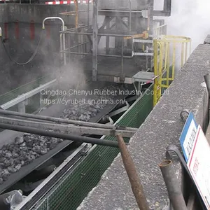 Heat Resistant Conveyor Belt / EP Conveyor Belt/ Conveyor Belt thumbnail-3
