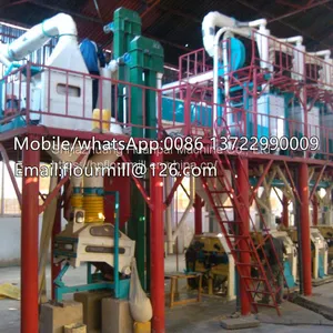 African Standards Maize Large Commercial Efficiency 100ton Corn Flour Mill Machine With Price thumbnail-3