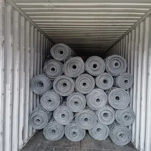 HR20 Reinforced Hexagonal Mesh Barrier Netting Galvanized Steel Plain Weave Woven Slope Security Rock Falling Protection Cutting thumbnail-4