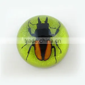 2016New Design Novel Wholesale Promotion Gift Paperweight With Real Insect thumbnail-1