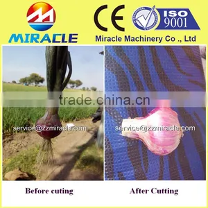 Cheap Price Fresh Garlic Roots Cutting Machine/roots Cutter/root Removing Machine thumbnail-3