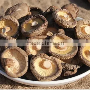 Shiitake Mushroom From Yunnan thumbnail-2