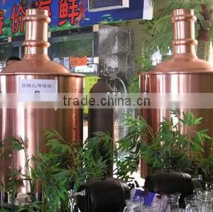 3bbl/500L Turnkey Project Micro Beer Equipment/home Brewing Equipment/beer Brewery Equipment for Sale/brewery Equipment thumbnail-1