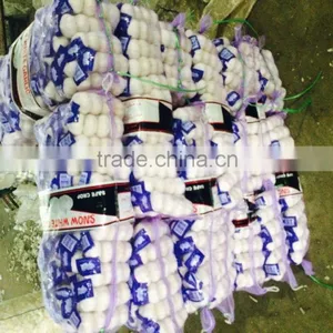 2016 New Crop Garlic Start to be Harvest thumbnail-2