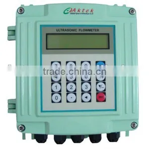 Ultrasonic Flowmeter TFM2100-NG thumbnail-1