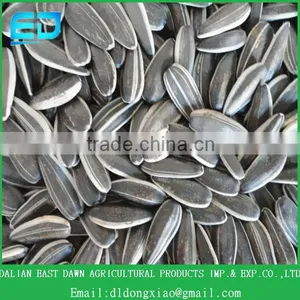 2015 New Crop Chinese Sunflower Seeds for High Quality thumbnail-2