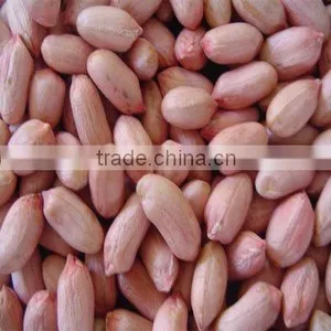 Peanut Kernels thumbnail-2