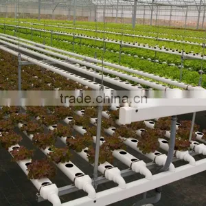 Hydroponics and Fertigation Controllers for Hydroponic Greenhouses thumbnail-1