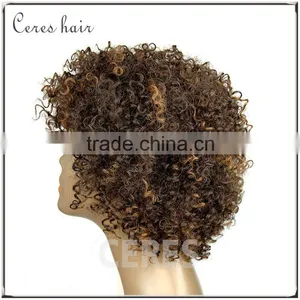 Afro Kinky Human Hair Wig Kinky Curly Short Human Hair Wig for Black Women thumbnail-2
