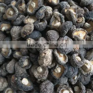 Bulk Dried Mushrooms thumbnail-2