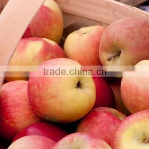 Chinese Fresh Sweet Fuji Apple With Good Quality thumbnail-3