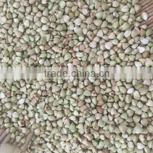 2016 New Crop High Quality Raw Buckwheat Price thumbnail-1