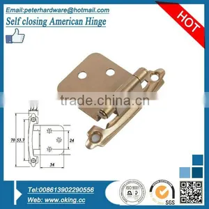 70x34 Steel Self Closing Hinge thumbnail-1