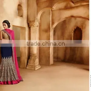 On Net Lehenga Saree Multi Color Georgette thumbnail-6