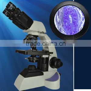 Binocular Microscope / Laboratory Microscope / Pathology Microsocpe / Biology Microscope thumbnail-1