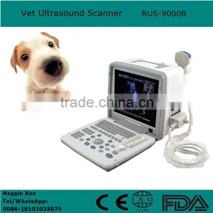 12 Inch Portable Veterinary Ultrasound Scanner With Convex Probe for Vet Animal 18 Months Warranty thumbnail-1