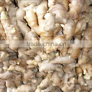 Market Prices for Ginger/ Yellow Dry Ginger Dried Ginger Pieces thumbnail-1