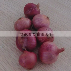 Red Onion Prices and Yellow Onion Prices thumbnail-4