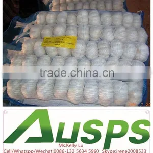 China Garlic Price per Ton thumbnail-2