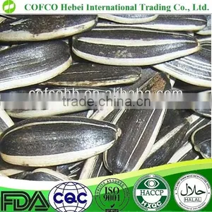 Low Price Sunflower Seeds thumbnail-2