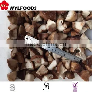 Frozen Mushrooms Shiitake Slices New Crop High Quality thumbnail-3
