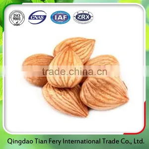Apricot Kernels/ Bitter and Sweet Apricot Kernels thumbnail-6