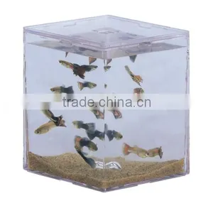 Aquarium thumbnail-1