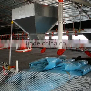 Poultry Automatic Feeding System thumbnail-2