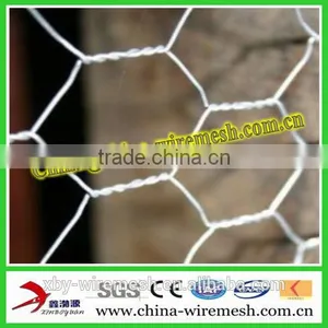 Poultry Netting/Galvanized Hexagonal Wire Mesh Factory thumbnail-1