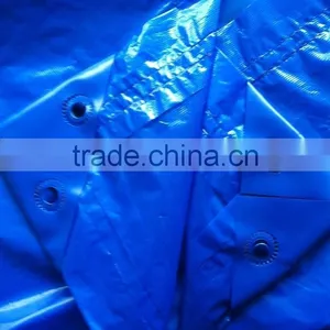 Reinforced Cross Laminated Tarpaulin With Eyelets, Green House Tarpaulin Sheet thumbnail-1