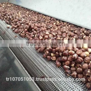 HAZELNUT ROASTING MACHINE (Model : 2500) thumbnail-2