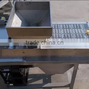 Peanut Peeling Machine Abrasive Sand Peeler thumbnail-4