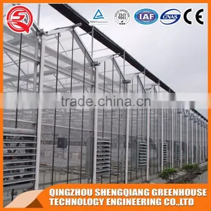 China Factory Direct Steel Frame Glass Greenhouse Ventilation System thumbnail-3