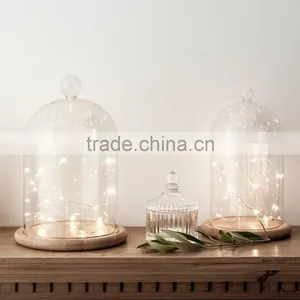 Button Battery Operated Fairy Lights With 20 Micro Warm White LEDs on Copper Wire thumbnail-2