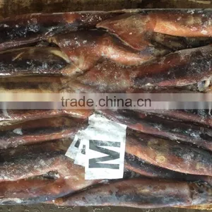 2017 New Arrive Frozen Argentina Illex Squid thumbnail-3