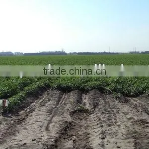 Blue PVC Lay Flat Hose for Agricultural Irrigation thumbnail-1