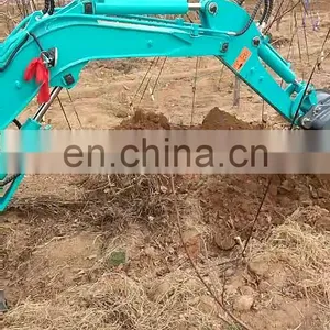 Hydraulic Mini Excavator Mini Excavator 2 Ton Mini Digger Made in China thumbnail-1