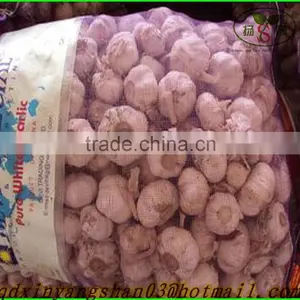 (NEW) 2015 Fresh White Garlic From 4.0cm---6.0cm thumbnail-1