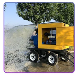 Self Priming Pump thumbnail-1
