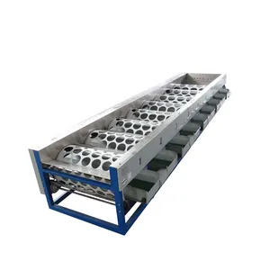Cherry Selecting Machine/roller Dates Grading Machine /fruit Selecting Machine for Apricot/cherry /plum thumbnail-5