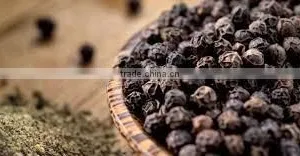 Black Pepper thumbnail-1