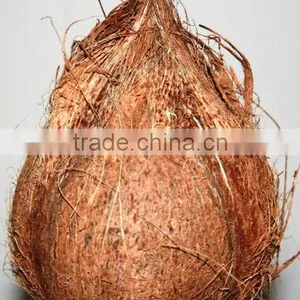 Fresh Coconuts for Sale thumbnail-1