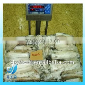 Fresh Frozen Whole Cuttlefish on Sale thumbnail-3