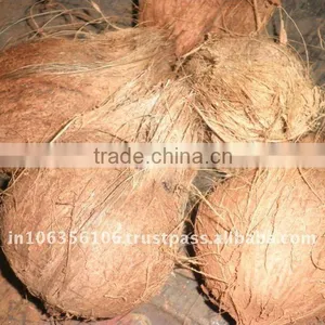 Fresh Matured Coconut thumbnail-1