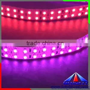 Pink Color, Double Row LED Strip LED Strip. LED Flexible Strip Light thumbnail-1