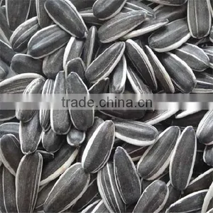 American Sunflower Seeds 5009 thumbnail-1