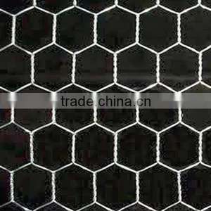 Green/ Black Pvc Coated Lowest Price Chicken Wire Mesh thumbnail-3