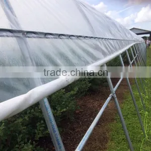 Tunnel Plastic Greenhouse thumbnail-4