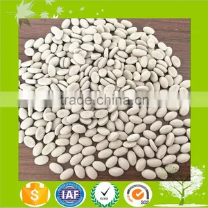 Plast Desiccant Masterbatch/Dry Agent thumbnail-5